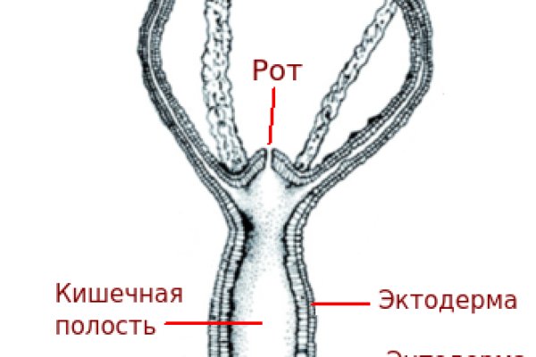 Кракен даркнет только через тор