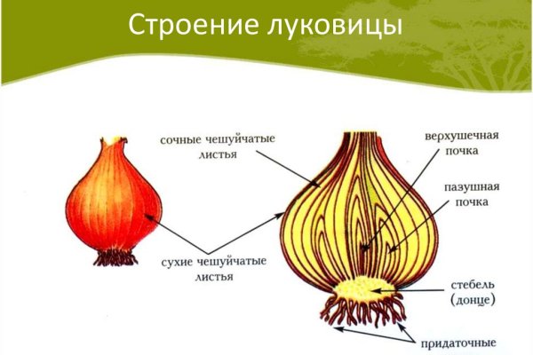 Кракен сайт работает