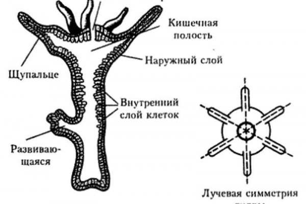 Кракен купить наркотики